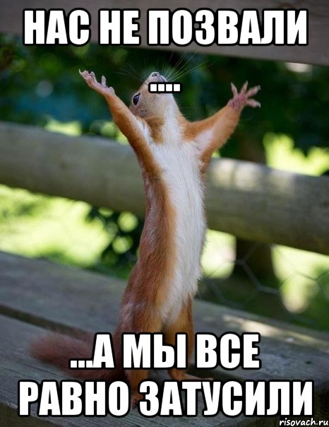 Нас не позвали .... ...а мы все равно затусили, Мем    белка молится