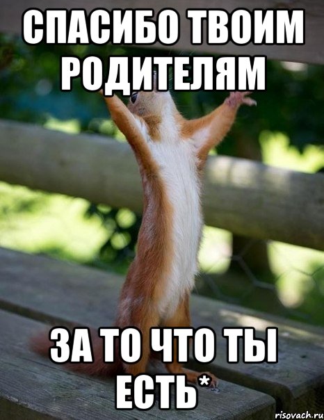 СПАСИБО ТВОИМ РОДИТЕЛЯМ за то что ты есть*, Мем    белка молится