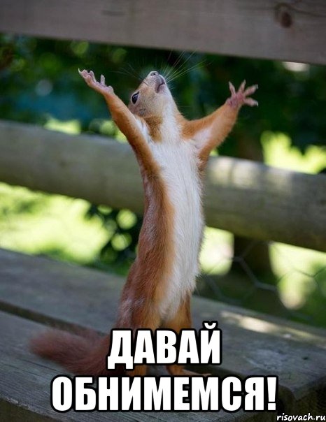  Давай обнимемся!, Мем    белка молится