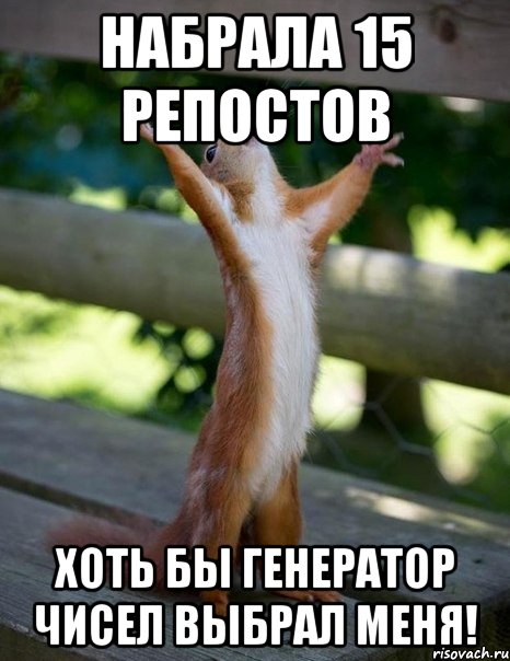 Набрала 15 репостов Хоть бы генератор чисел выбрал меня!, Мем    белка молится