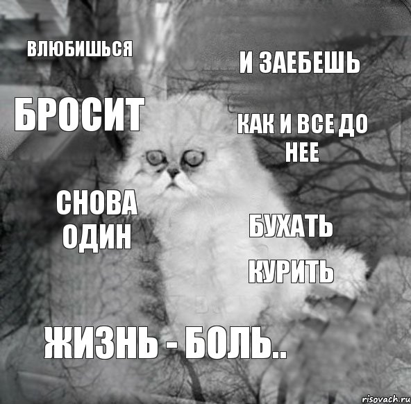 влюбишься и заебешь бросит как и все до нее снова один бухать курить жизнь - боль.., Комикс  кот безысходность