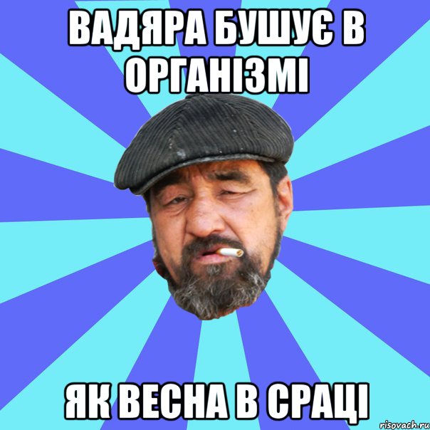 вадяра бушує в організмі як весна в сраці, Мем Бомж флософ