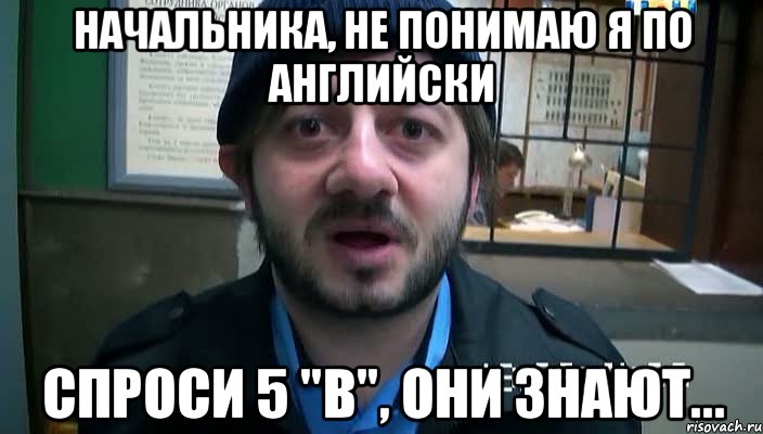 НАЧАЛЬНИКА, НЕ ПОНИМАЮ Я ПО АНГЛИЙСКИ СПРОСИ 5 "В", ОНИ ЗНАЮТ..., Мем Бородач