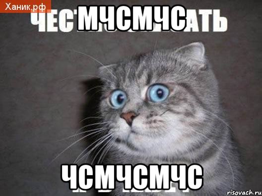 мчсмчс чсмчсмчс, Мем  удивлённый кот