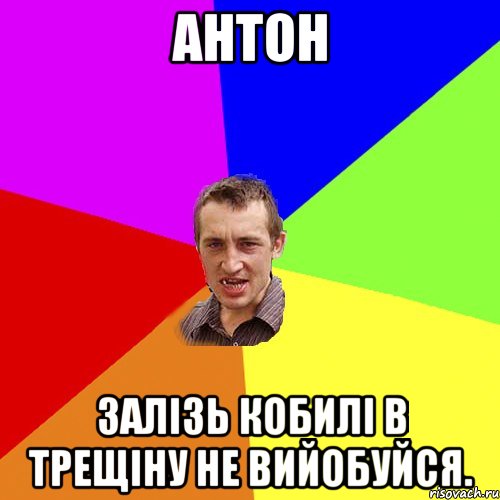 антон залізь кобилі в трещіну не вийобуйся., Мем Чоткий паца