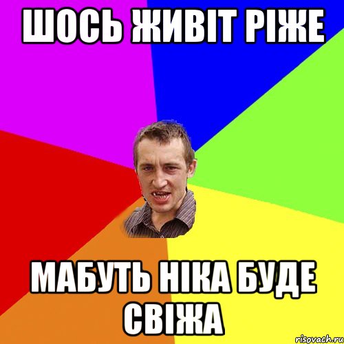 шось живіт ріже мабуть ніка буде свіжа, Мем Чоткий паца