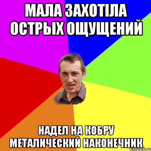 Мала захотіла острых ощущений надел на кобру металический наконечник, Мем Чоткий паца