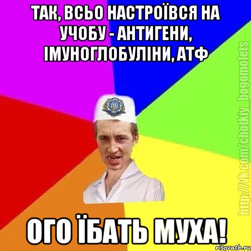 Так, всьо настроївся на учобу - антигени, імуноглобуліни, атф Ого їбать муха!