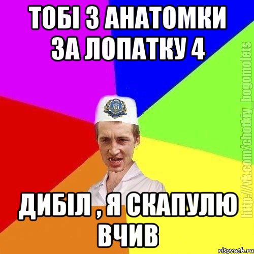 ТОбі з анатомки за лопатку 4 Дибіл , я скапулю вчив