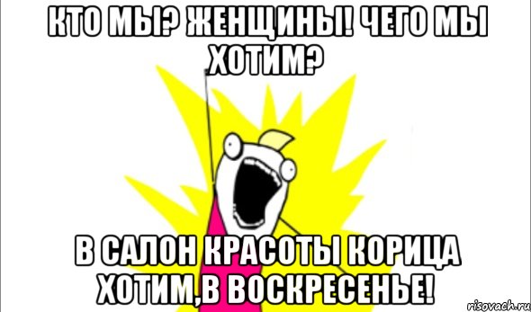 кто мы? женщины! чего мы хотим? в салон красоты корица хотим,в воскресенье!, Мем Что мы хотим