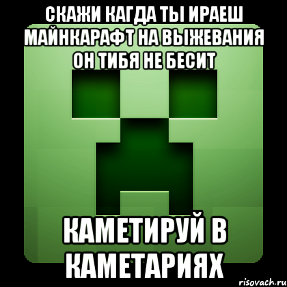 скажи кагда ты ираеш майнкарафт на выжевания он тибя не бесит каметируй в каметариях, Мем Creeper