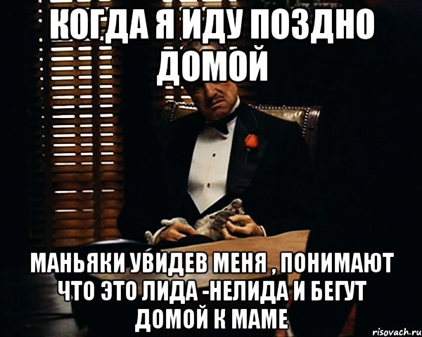 когда я иду поздно домой маньяки увидев меня , понимают что это лида -нелида и бегут домой к маме, Мем Дон Вито Корлеоне