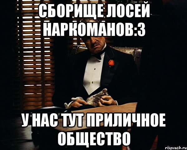 сборище лосей наркоманов:3 у нас тут приличное общество, Мем Дон Вито Корлеоне