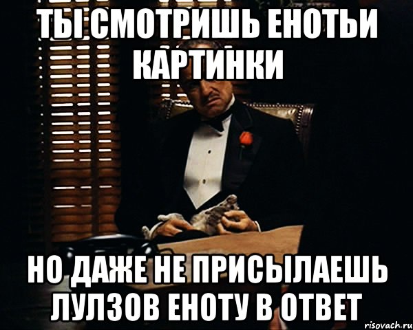 ты смотришь енотьи картинки но даже не присылаешь лулзов еноту в ответ, Мем Дон Вито Корлеоне