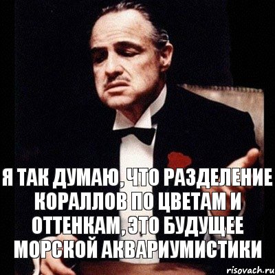 Я так думаю, что разделение кораллов по цветам и оттенкам, это будущее морской аквариумистики, Комикс Дон Вито Корлеоне 1