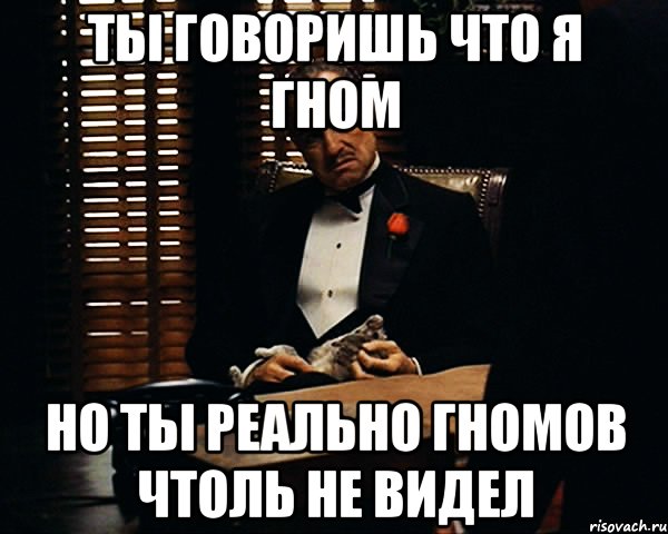 Ты говоришь что я гном но ты реально гномов чтоль не видел, Мем Дон Вито Корлеоне