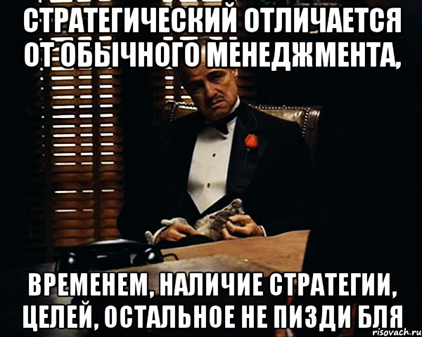 Стратегический отличается от обычного менеджмента, временем, наличие стратегии, целей, остальное не пизди бля, Мем Дон Вито Корлеоне