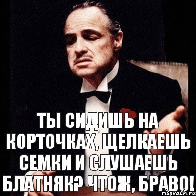 ты сидишь на корточках, щелкаешь семки и слушаешь блатняк? Чтож, браво!, Комикс Дон Вито Корлеоне 1