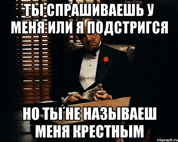 Ты спрашиваешь у меня или я подстригся но ты не называеш меня крестным, Мем Дон Вито Корлеоне