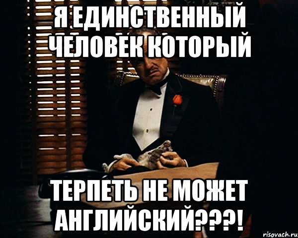 я единственный человек который терпеть не может английский???!, Мем Дон Вито Корлеоне