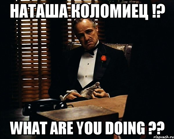 Наташа Коломиец !? what are you doing ??, Мем Дон Вито Корлеоне