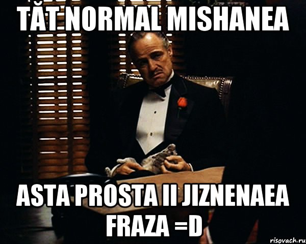 Tăt normal Mishanea asta prosta ii jiznenaea fraza =D, Мем Дон Вито Корлеоне