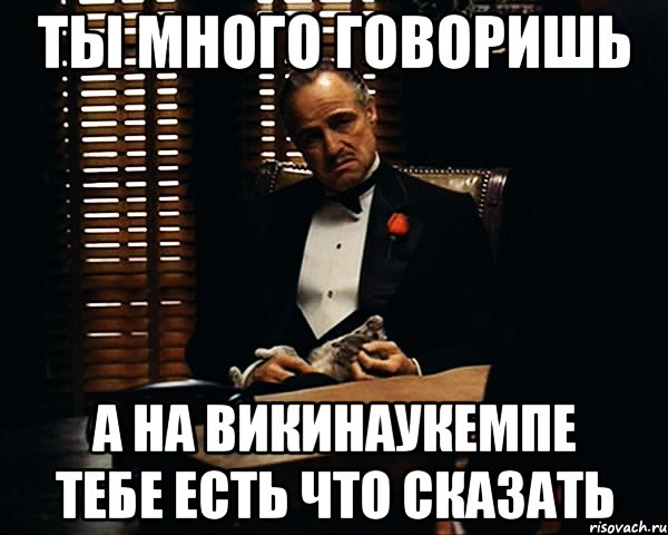 Ты много говоришь а на ВикиНАУКемпе тебе есть что сказать, Мем Дон Вито Корлеоне