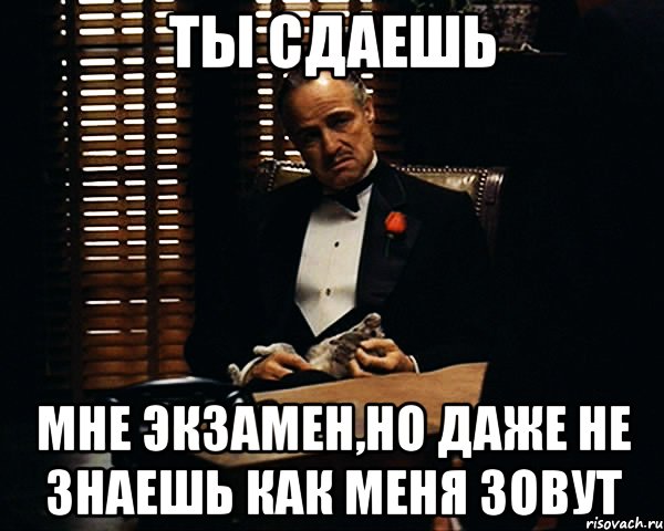 Ты сдаешь мне экзамен,но даже не знаешь как меня зовут, Мем Дон Вито Корлеоне