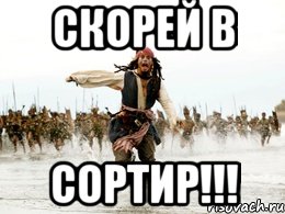 Скорей в Сортир!!!, Мем Джек воробей