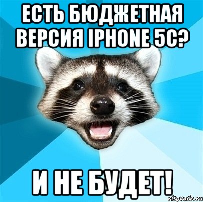 есть бюджетная версия iphone 5c? и не будет!, Мем Енот-Каламбурист