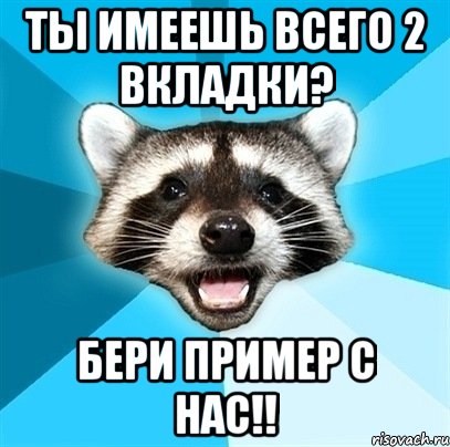 ты имеешь всего 2 вкладки? бери пример с нас!!, Мем Енот-Каламбурист