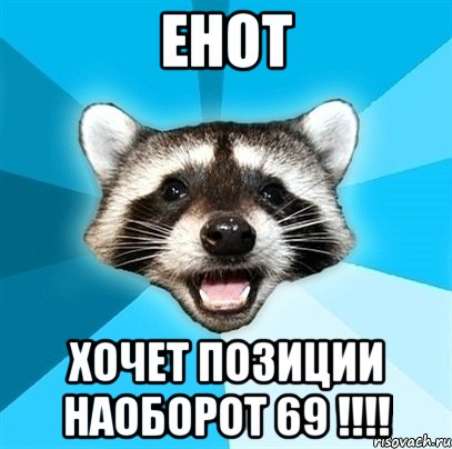 енот хочет позиции наоборот 69 !!!, Мем Енот-Каламбурист