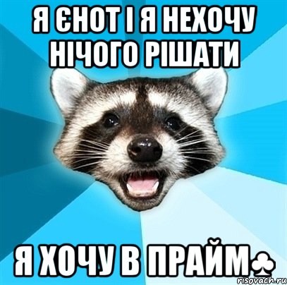 я єнот і я нехочу нічого рішати я хочу в прайм♣, Мем Енот-Каламбурист