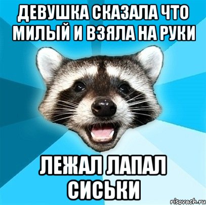 Девушка сказала что милый и взяла на руки Лежал лапал сиськи, Мем Енот-Каламбурист