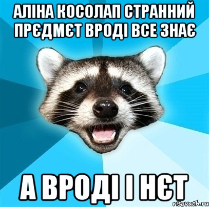 Аліна Косолап странний прєдмєт вроді все знає а вроді і нєт, Мем Енот-Каламбурист