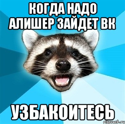 Когда надо Алишер Зайдет Вк Узбакоитесь, Мем Енот-Каламбурист