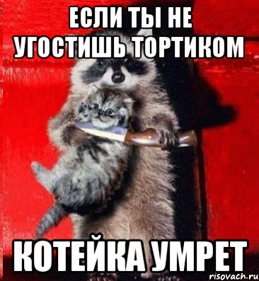 если ты не угостишь тортиком котейка умрет, Мем  енот с котенком