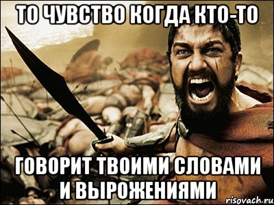 то чувство когда кто-то говорит твоими словами и вырожениями, Мем Это Спарта