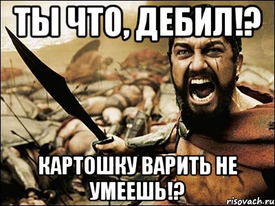 ты что, дебил!? картошку варить не умеешь!?, Мем Это Спарта