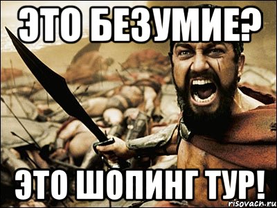 ЭТО БЕЗУМИЕ? ЭТО ШОПИНГ ТУР!, Мем Это Спарта