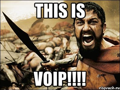 THIS IS VOIP!!!!, Мем Это Спарта