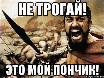 Не трогай! Это мой пончик!, Мем Это Спарта