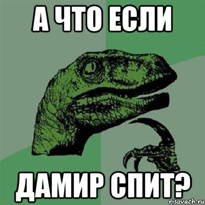 а что если дамир спит?, Мем Филосораптор