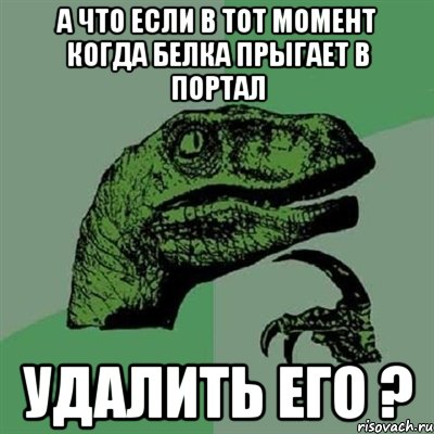 а что если в тот момент когда белка прыгает в портал удалить его ?, Мем Филосораптор