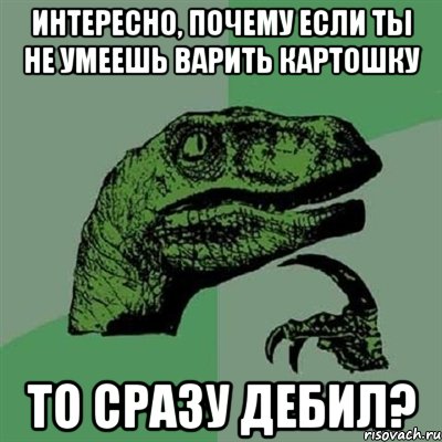 интересно, почему если ты не умеешь варить картошку то сразу дебил?, Мем Филосораптор