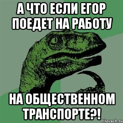 а что если егор поедет на работу на общественном транспорте?!, Мем Филосораптор