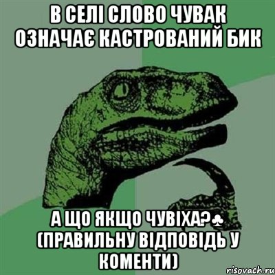 в селі слово чувак означає кастрований Бик а що якщо чувіха?♣ (правильну відповідь у коменти), Мем Филосораптор