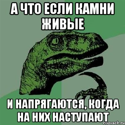 А что если камни живые И напрягаются, когда на них наступают, Мем Филосораптор