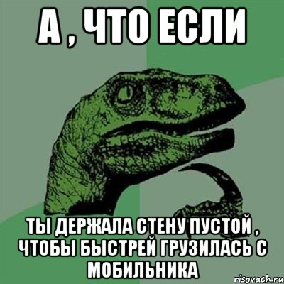 А , что если ты держала стену пустой , чтобы быстрей грузилась с мобильника, Мем Филосораптор