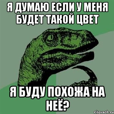 я думаю если у меня будет такой цвет я буду похожа на неё?, Мем Филосораптор